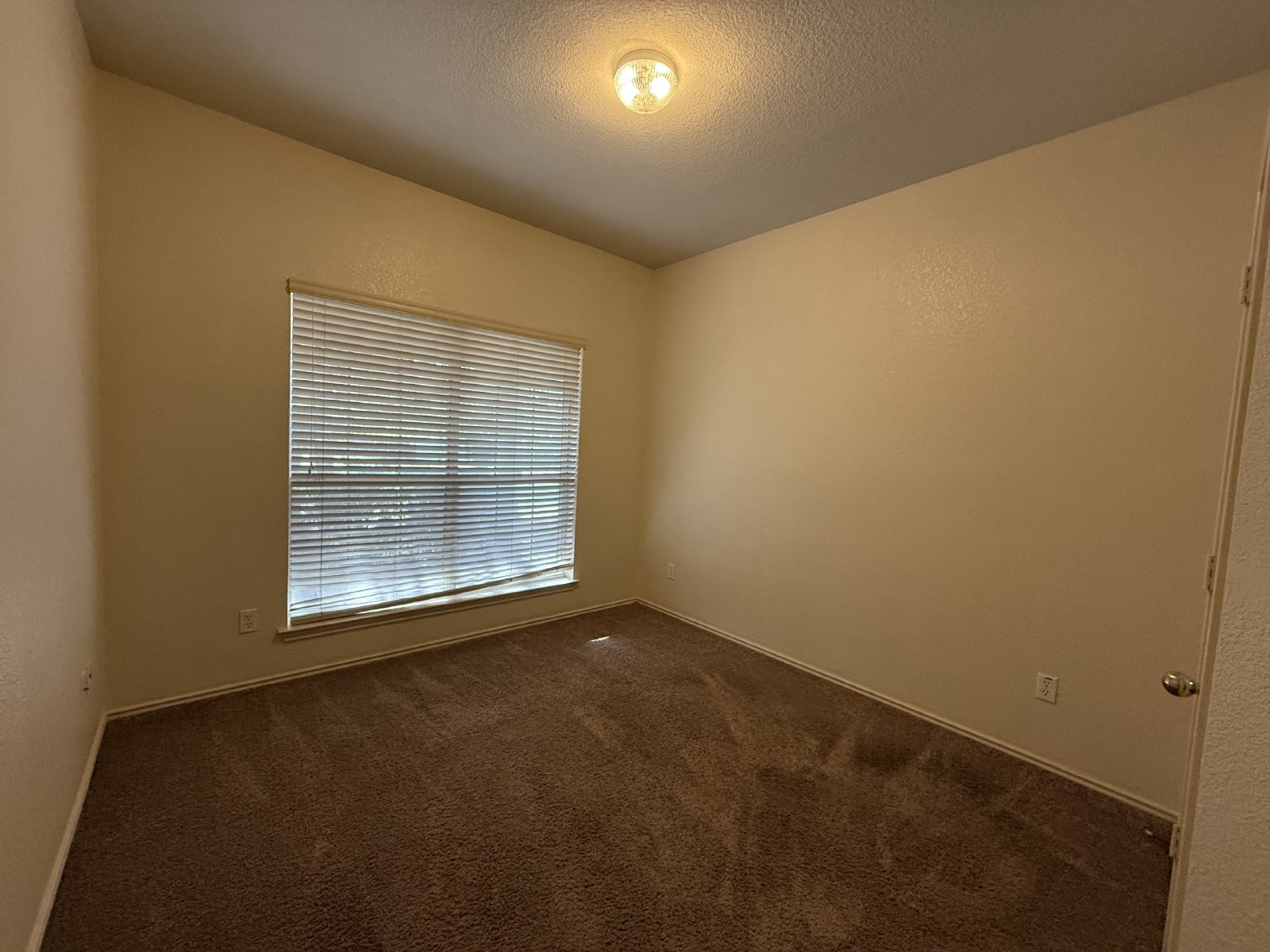 Cute home in Olympic Heights! property image