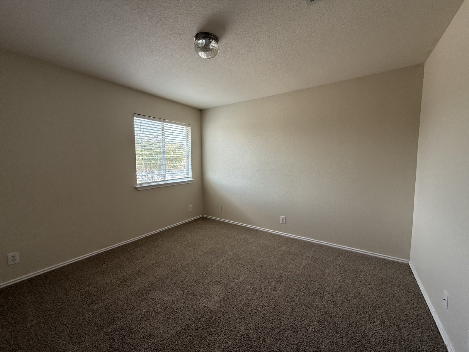 Highland Park Beauty! property image